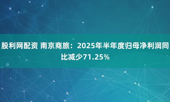 股利网配资 南京商旅：2025年半年度归母净利润同比减少71.25%
