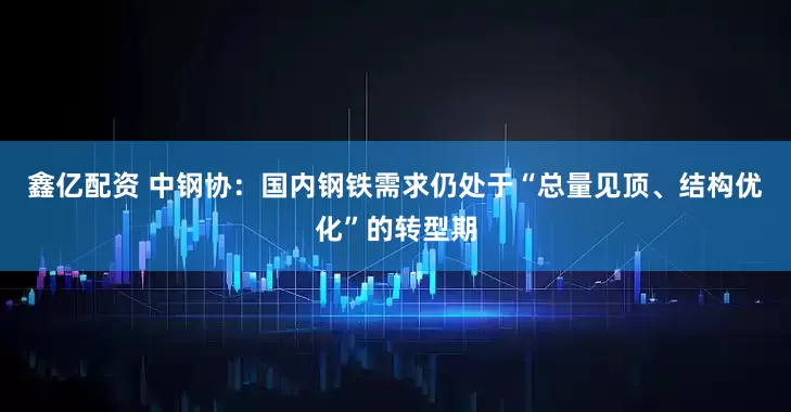 鑫亿配资 中钢协:国内钢铁需求仍处于“总量见顶、结构优化”的转型期