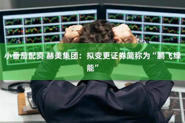 小番茄配资 赫美集团：拟变更证券简称为“鹏飞绿能”